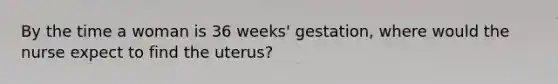 By the time a woman is 36 weeks' gestation, where would the nurse expect to find the uterus?