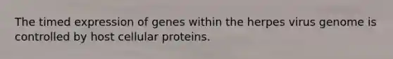 The timed expression of genes within the herpes virus genome is controlled by host cellular proteins.