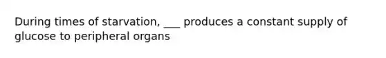 During times of starvation, ___ produces a constant supply of glucose to peripheral organs