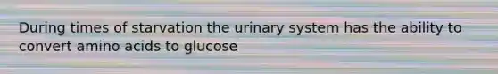 During times of starvation the urinary system has the ability to convert amino acids to glucose