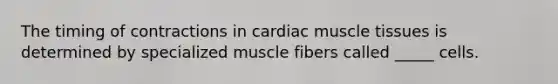 The timing of contractions in cardiac muscle tissues is determined by specialized muscle fibers called _____ cells.