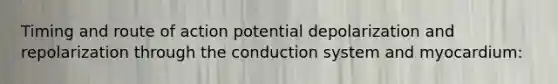 Timing and route of action potential depolarization and repolarization through the conduction system and myocardium: