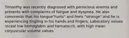 Timonthy was recently diagnosed with pernicious anemia and presents with complaints of fatigue and dyspnea. He also comments that his tongue"hurts" and feels "strange" and he is experiencing tingling in his hands and fingers. Laboratory values receal low hemoglobin and hematocrit, with high mean corpuscular volume values