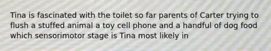 Tina is fascinated with the toilet so far parents of Carter trying to flush a stuffed animal a toy cell phone and a handful of dog food which sensorimotor stage is Tina most likely in