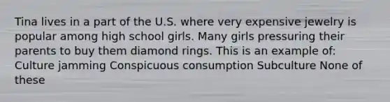 Tina lives in a part of the U.S. where very expensive jewelry is popular among high school girls. Many girls pressuring their parents to buy them diamond rings. This is an example of: Culture jamming Conspicuous consumption Subculture None of these