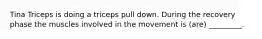 Tina Triceps is doing a triceps pull down. During the recovery phase the muscles involved in the movement is (are) _________.