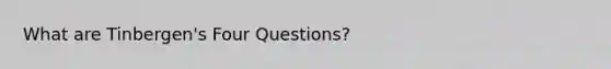 What are Tinbergen's Four Questions?