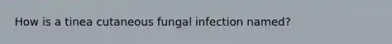 How is a tinea cutaneous fungal infection named?