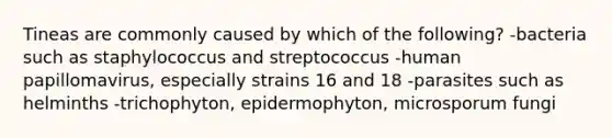 Tineas are commonly caused by which of the following? -bacteria such as staphylococcus and streptococcus -human papillomavirus, especially strains 16 and 18 -parasites such as helminths -trichophyton, epidermophyton, microsporum fungi