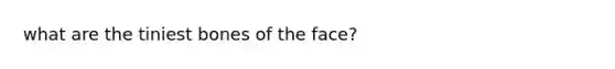 what are the tiniest bones of the face?