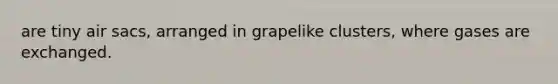 are tiny air sacs, arranged in grapelike clusters, where gases are exchanged.