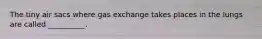 The tiny air sacs where gas exchange takes places in the lungs are called __________.