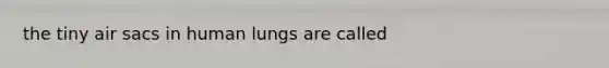 the tiny air sacs in human lungs are called