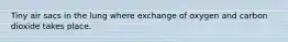 Tiny air sacs in the lung where exchange of oxygen and carbon dioxide takes place.