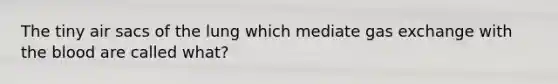 The tiny air sacs of the lung which mediate gas exchange with the blood are called what?