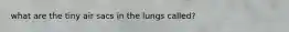 what are the tiny air sacs in the lungs called?