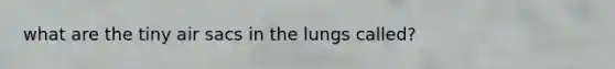 what are the tiny air sacs in the lungs called?