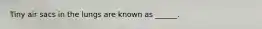 Tiny air sacs in the lungs are known as ______.