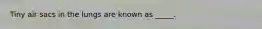 Tiny air sacs in the lungs are known as _____.