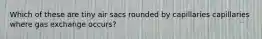 Which of these are tiny air sacs rounded by capillaries capillaries where gas exchange occurs?