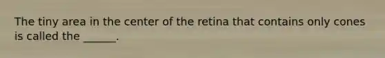 The tiny area in the center of the retina that contains only cones is called the ______.