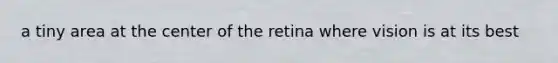 a tiny area at the center of the retina where vision is at its best