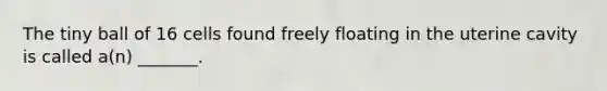The tiny ball of 16 cells found freely floating in the uterine cavity is called a(n) _______.