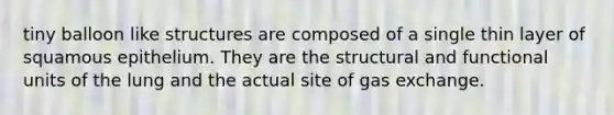 tiny balloon like structures are composed of a single thin layer of squamous epithelium. They are the structural and functional units of the lung and the actual site of gas exchange.
