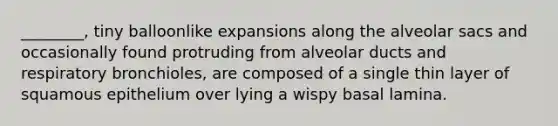 ________, tiny balloonlike expansions along the alveolar sacs and occasionally found protruding from alveolar ducts and respiratory bronchioles, are composed of a single thin layer of squamous epithelium over lying a wispy basal lamina.