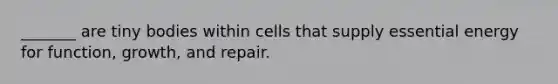 _______ are tiny bodies within cells that supply essential energy for function, growth, and repair.