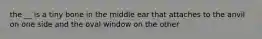 the __ is a tiny bone in the middle ear that attaches to the anvil on one side and the oval window on the other