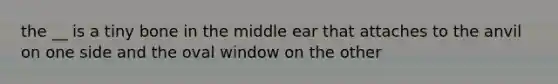 the __ is a tiny bone in the middle ear that attaches to the anvil on one side and the oval window on the other