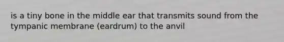 is a tiny bone in the middle ear that transmits sound from the tympanic membrane (eardrum) to the anvil