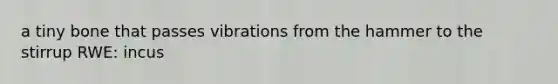 a tiny bone that passes vibrations from the hammer to the stirrup RWE: incus