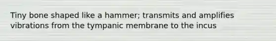 Tiny bone shaped like a hammer; transmits and amplifies vibrations from the tympanic membrane to the incus