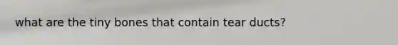 what are the tiny bones that contain tear ducts?