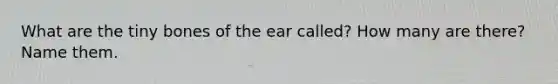 What are the tiny bones of the ear called? How many are there? Name them.