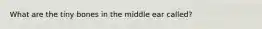 What are the tiny bones in the middle ear called?