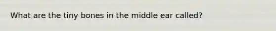 What are the tiny bones in the middle ear called?