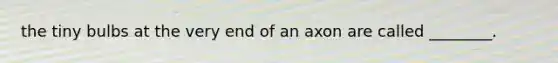 the tiny bulbs at the very end of an axon are called ________.