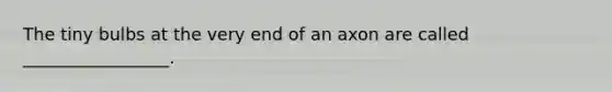 The tiny bulbs at the very end of an axon are called _________________.