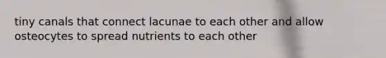 tiny canals that connect lacunae to each other and allow osteocytes to spread nutrients to each other