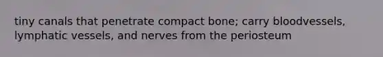 tiny canals that penetrate compact bone; carry bloodvessels, lymphatic vessels, and nerves from the periosteum