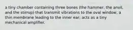 a tiny chamber containing three bones (the hammer, the anvil, and the stirrup) that transmit vibrations to the oval window, a thin membrane leading to the inner ear; acts as a tiny mechanical amplifier.