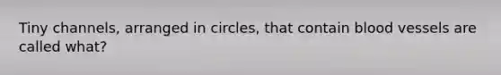 Tiny channels, arranged in circles, that contain blood vessels are called what?