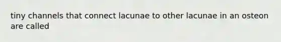 tiny channels that connect lacunae to other lacunae in an osteon are called