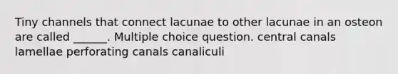 Tiny channels that connect lacunae to other lacunae in an osteon are called ______. Multiple choice question. central canals lamellae perforating canals canaliculi