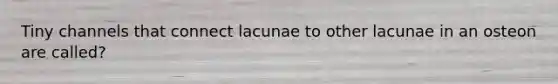 Tiny channels that connect lacunae to other lacunae in an osteon are called?