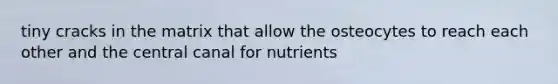 tiny cracks in the matrix that allow the osteocytes to reach each other and the central canal for nutrients