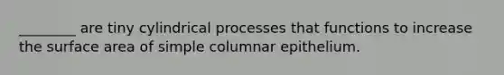 ________ are tiny cylindrical processes that functions to increase the surface area of simple columnar epithelium.